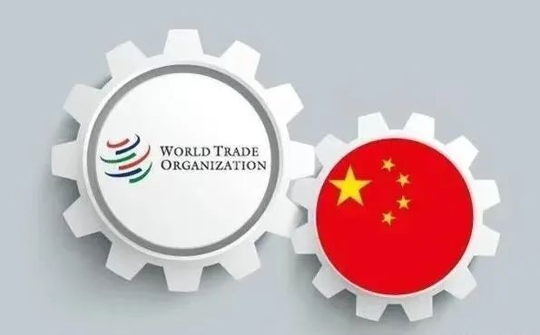 世贸组织讨论环境政策贸易影响，中方国际贸易提案受关注